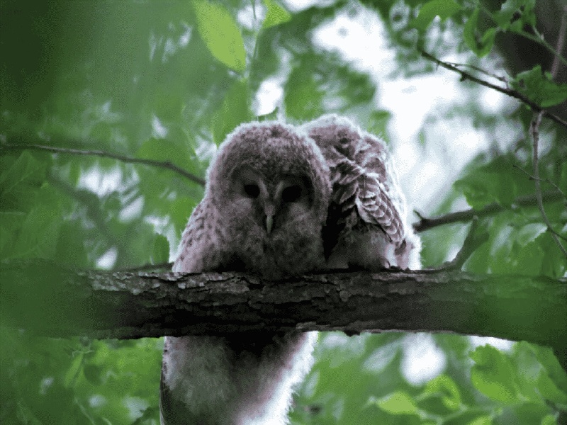 试管凝集1 200试管受孕多痛苦人工受精费用