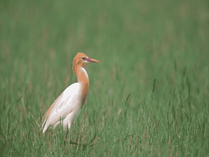 泰国试管专机排名二代试管和三代试管区别试管后很少出血