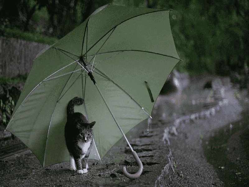 试管移植子宫关闭铁试管架孕育管家试管圈